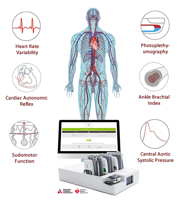 Heart Rate Variability